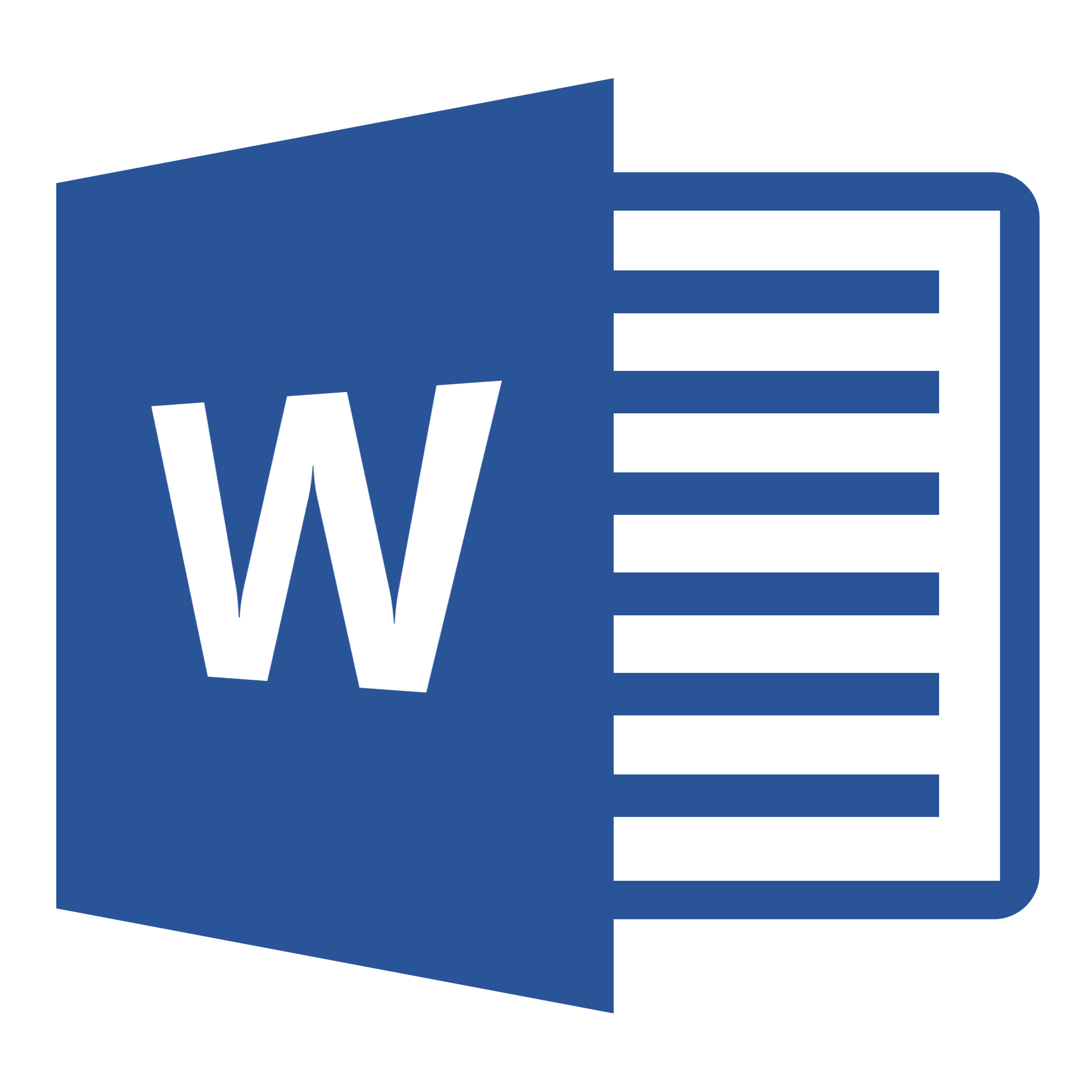 Word Document
